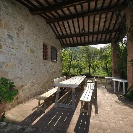 Azienda Agrituristica Podere Pratovecchio *