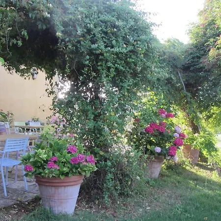 Azienda Agrituristica Podere Pratovecchio *