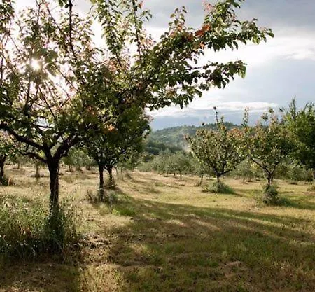 Azienda Agrituristica Podere Pratovecchio Alloggio per agriturismo Siena