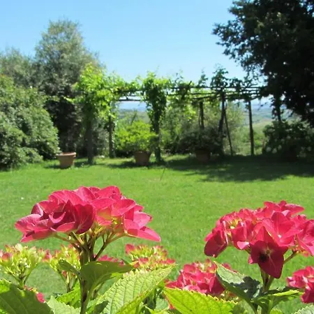 Azienda Agrituristica Podere Pratovecchio Alloggio per agriturismo *