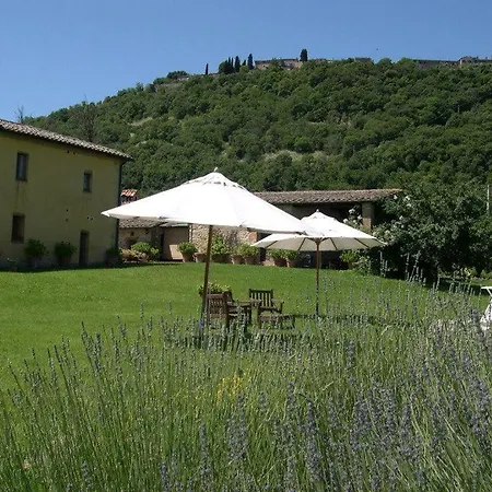 Alloggio per agriturismo Azienda Agrituristica Podere Pratovecchio Siena